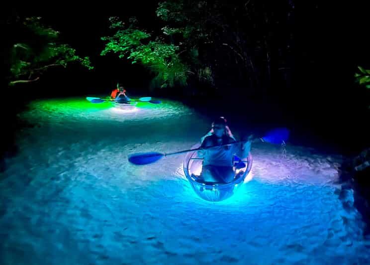 Rainbow Springs: Clear Kayak Sunset & Glow Tour - Key Points