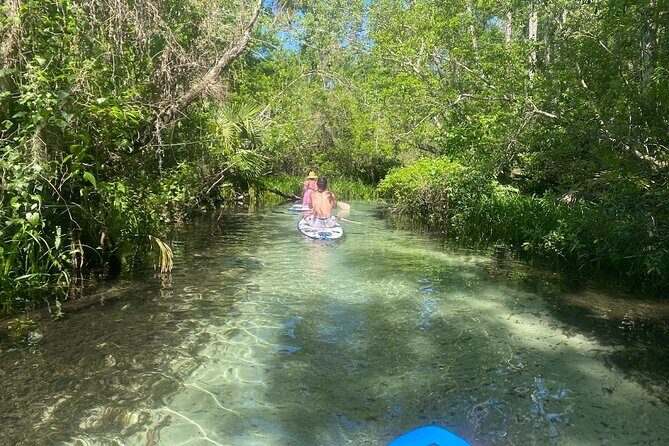 Rainbow Springs Electric Paddle Tour - Key Points