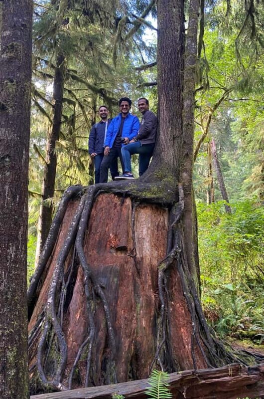 Rainforest and Olympic National Park Highlights - The Itinerary Breakdown: What You Can Expect