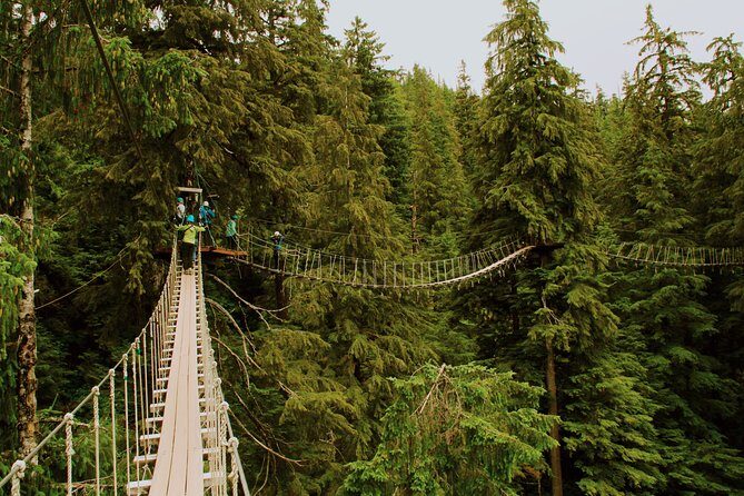 Rainforest Canopy & Zipline Adventure in Ketchikan, AK - Who Will Love This Tour?