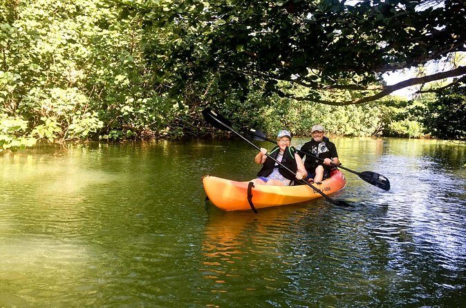 Rainforest River Kayak Self-Guided Kayak Tour - Does This Tour Offer Good Value?