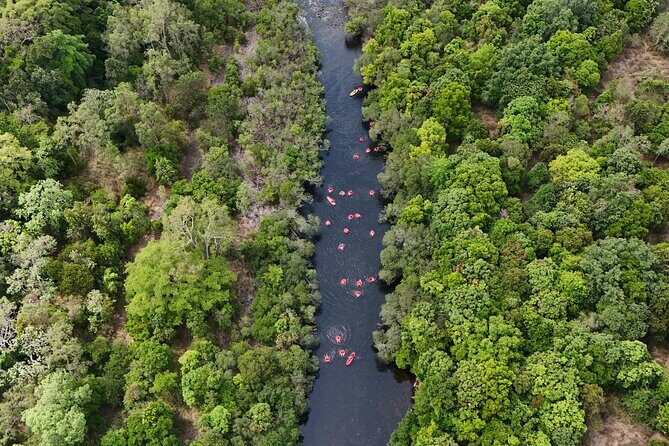 Rainforest River Tubing from Cairns - Key Points