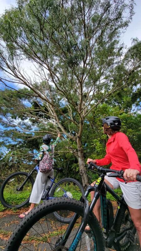 Rainforest to Reef Full-Day: Bike, Hike, Sail and Snorkel - FAQs