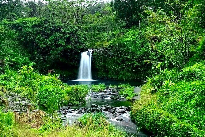 Rainforest Tour to Hana and Beyond - FAQs about the Rainforest Tour to Hana and Beyond