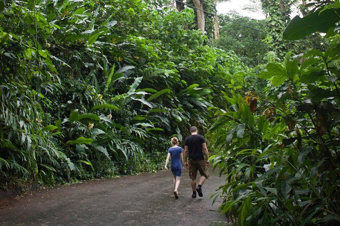 Rainforest Waterfall Trail and Shuttle Service - Final Thoughts