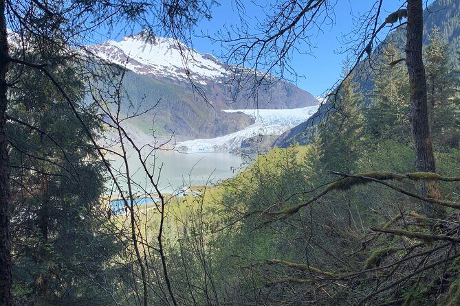 Rainforest & Waterfalls Trek - What the Tour Entails