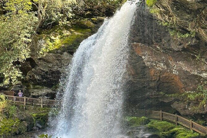 Rainforests and Waterfalls of Western NC - Key Points