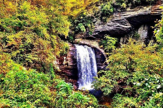 Rainforests and Waterfalls of Western NC - Who Is This Tour Best For?