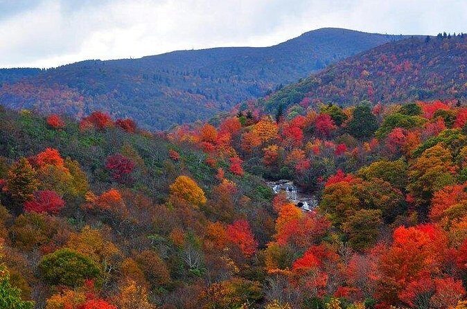 Rainforests and Waterfalls of Western NC - FAQ