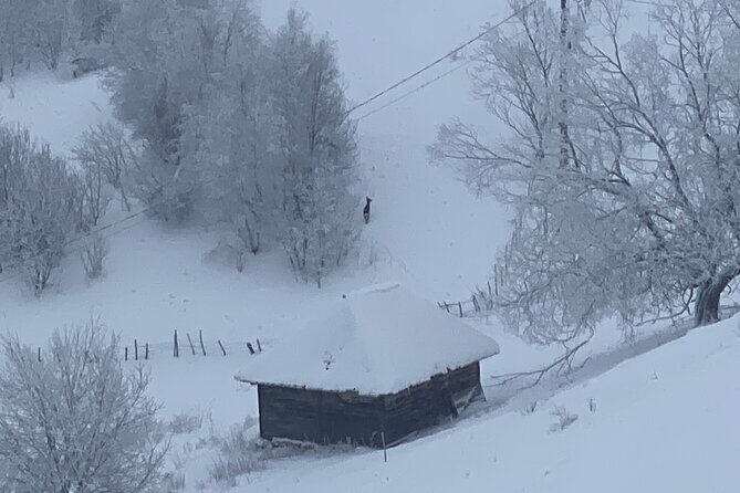 Rambling in Transylvania - Practical Tips