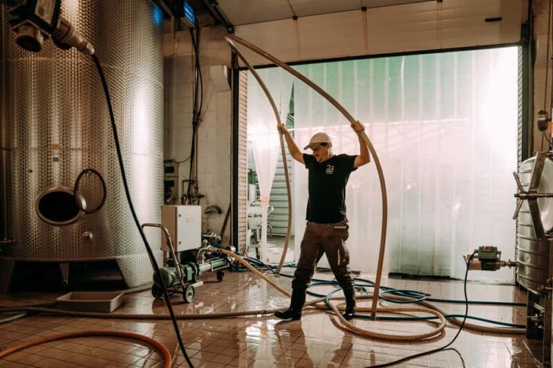 Ramsthal: Winery Tour with Wine Tasting and Tapas - A Closer Look at the Winery Tour Experience