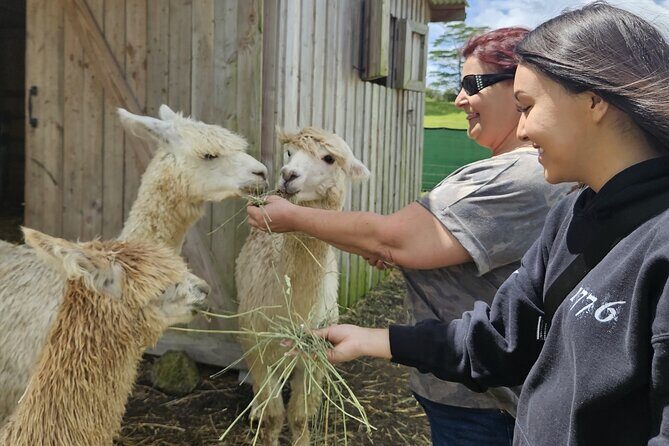 Ranch Tour & Animal Encounters - Frequently Asked Questions