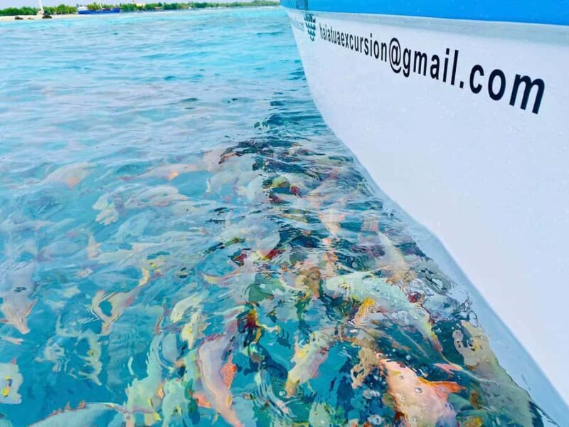 Rangiroa: Blue Lagoon Tiputa Pass Coral Garden Island Birds - An In-Depth Look at the Rangiroa Full-Day Tour