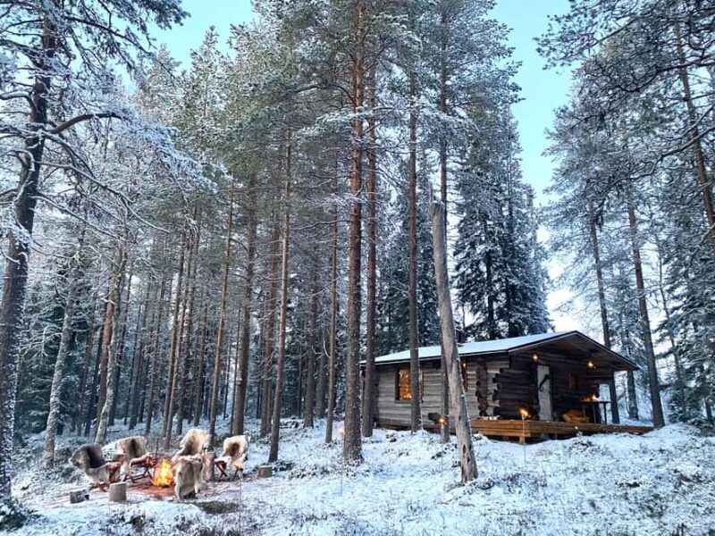 Ranua: Private Sauna on Your Own Wilderness Lake - Experience Overview