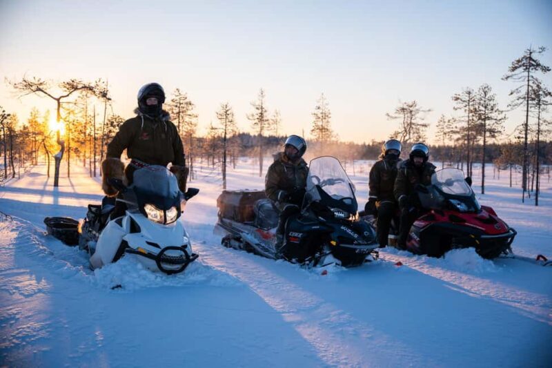 Ranua: Snowmobile Safari with Hot Drink - What to Expect from the Tour