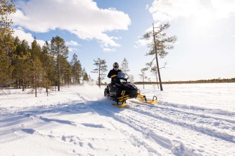Ranua: Snowmobile Safari with local guide - The Experience’s Value and Practical Details