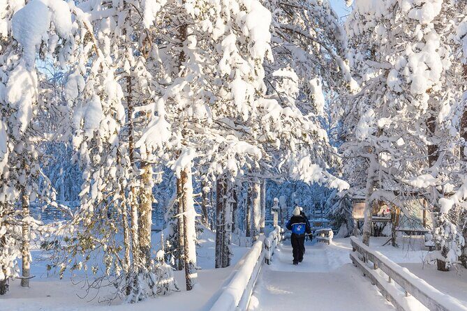 Ranua WildLife Zoo Park - What Are the Downsides?