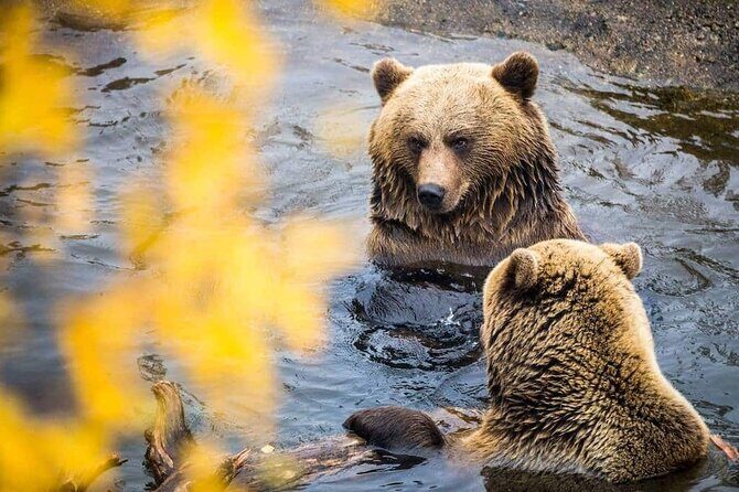 Ranua Zoo- Guided day tour from Rovaniemi - Frequently Asked Questions (FAQ)