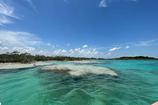 Rapids EN Bacalar Tour from Cancun and Riviera Maya - Is It Worth the Price?
