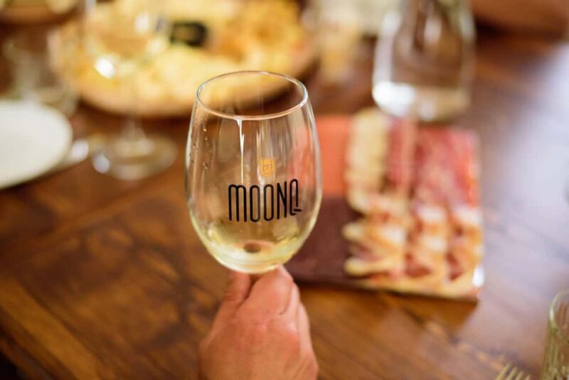 Rare Grape & Wine Tasting Experience at MOONQ - Setting the Scene: What to Expect at MOONQ Winery