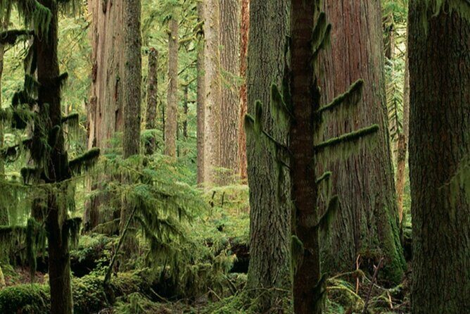Rattray Marsh Nature Escape - What You Can Expect from the Tour