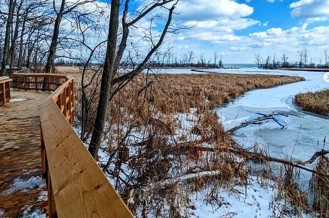 Rattray Marsh Nature Escape - The Sum Up