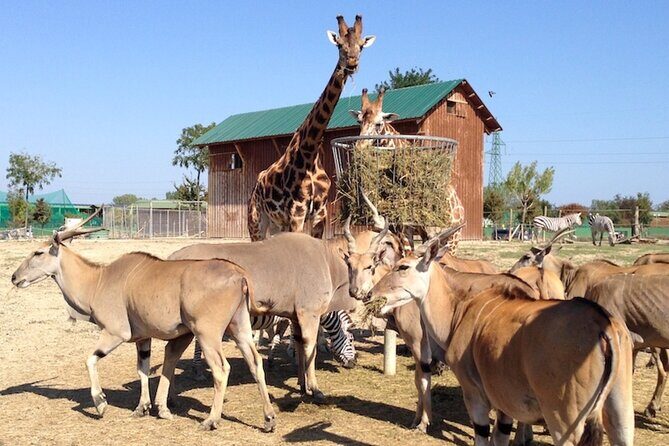 Ravenna: Safari Ravenna entrance ticket - The Itinerary Breakdown