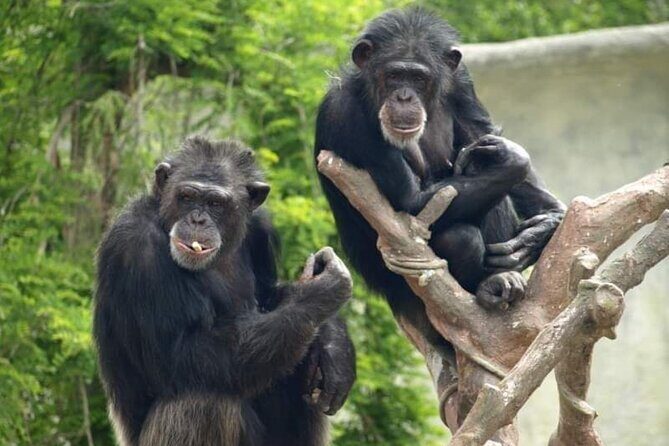 Ravenna: Safari Ravenna entrance ticket - Who Would Benefit from This Tour?