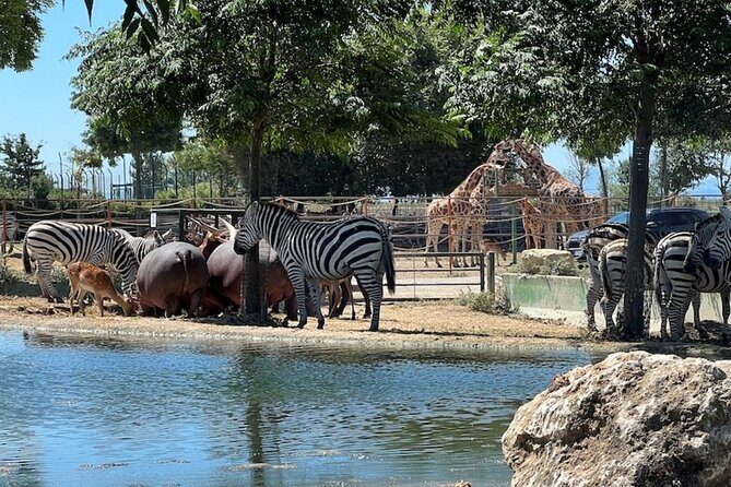 Ravenna: Safari Ravenna entrance ticket - Final Thoughts