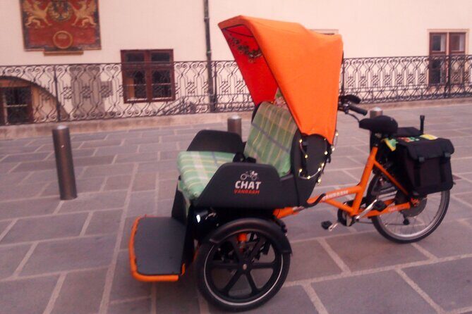 RAXI (E-Rickschaw) big private Vienna tour - FAQ