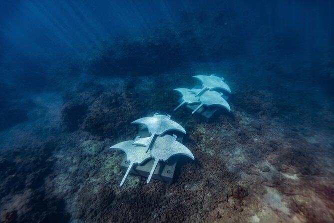 Rayglass Protector - Standard Private Charter - Whitsundays - The Pros and Cons