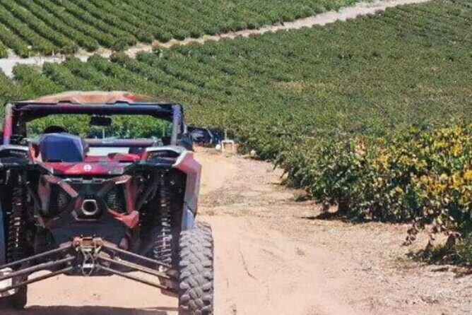 Razer Valley of Guadalupe Tour & Elena Restaurant & Bakus - Who Is This Tour Best For?