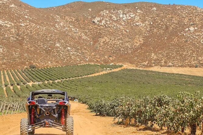 Razer Valley of Guadalupe Tour & Elena Restaurant & Bakus - Final Thoughts