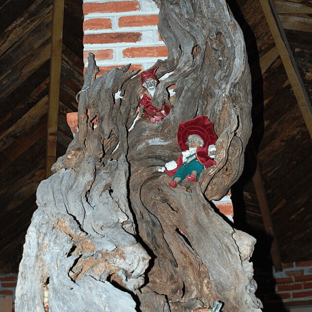 Real del Monte Hidalgo Mexico: Prismas Basálticos - Returning to Mexico City