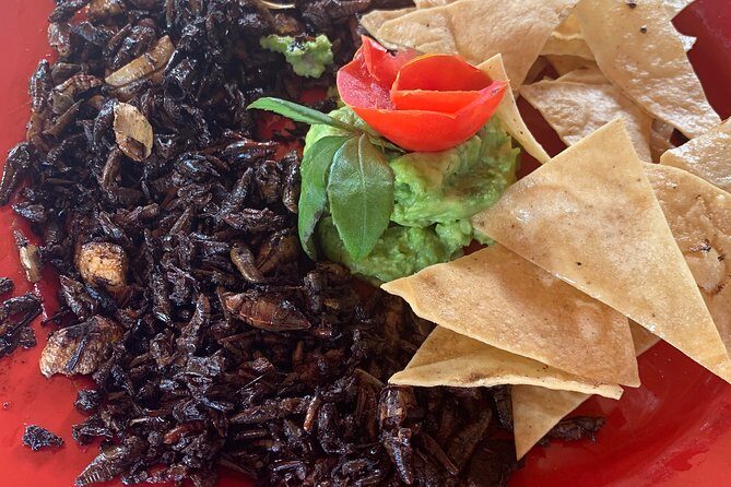 Real Mezcal Adventure - Final Thoughts