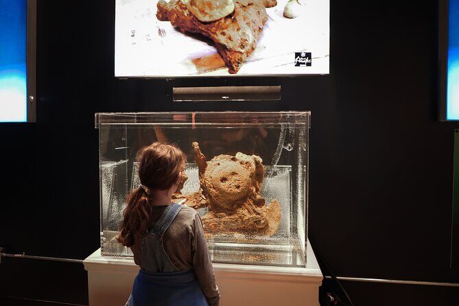 Real Pirates Salem Museum General Admission Ticket - Authentic Perspectives from Visitors