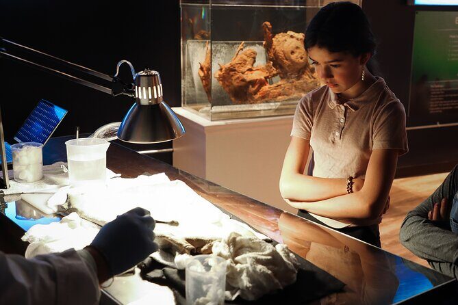 Real Pirates Salem Museum with Guided Directors Tour - What’s Included and How the Tour Works