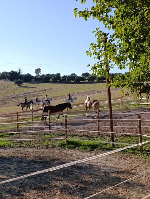 Recanati: Horse riding lessons for kids and adults - Key Points