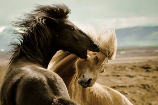 Red Canyons Best Of The Wild West Wild Mustang+Rafting Adventure - The Experience in Detail