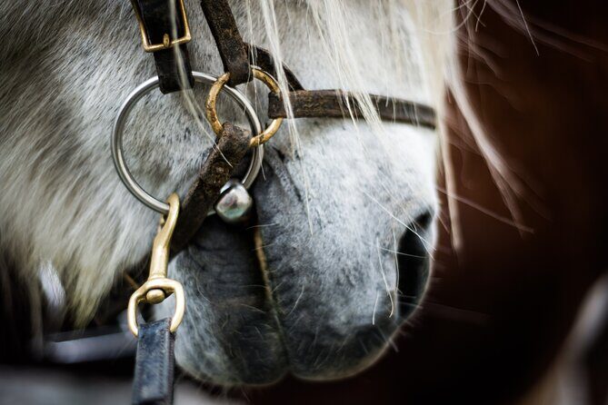 Red Lava Horse Riding Tour From Reykjavik - The Practicalities: How It All Comes Together