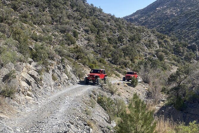 Red Rock Canyon Half Day Jeep Tour Offroad Adventure - Who’s This Tour Best For?