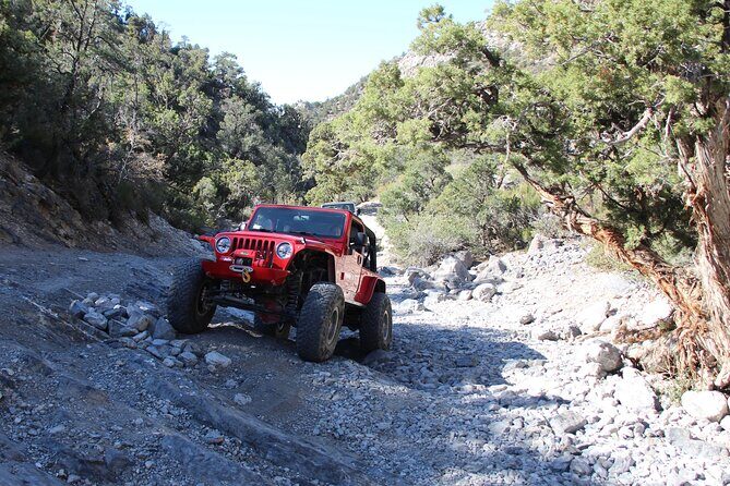 Red Rock Canyon Half Day Jeep Tour Offroad Adventure - Final Thoughts