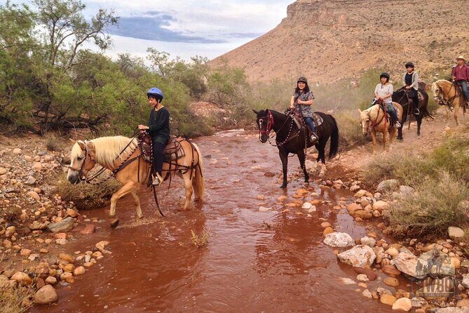 Red Rock Canyon Sunset Horseback Ride and Barbeque Dinner - What We Think About the Value