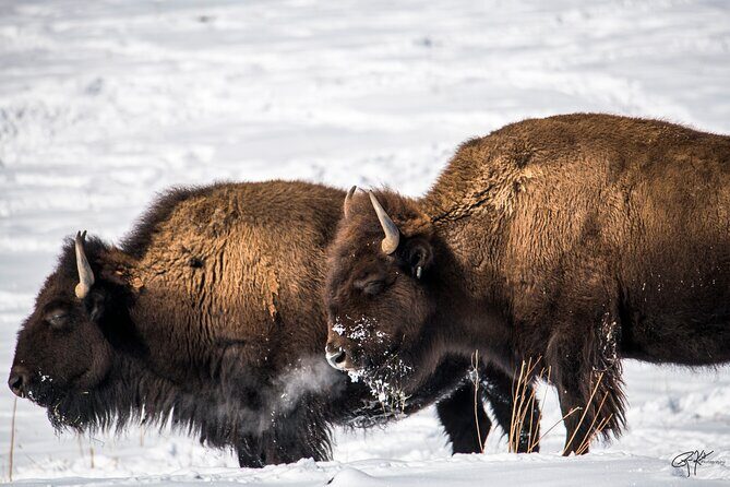 Red Rocks & Beyond - Private Tour - What to Expect from the Tour