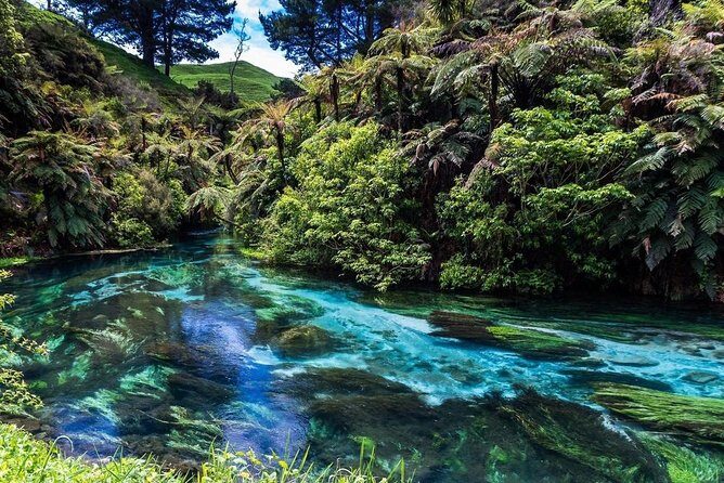 Redwood Forest , Blue Springs & Huka Falls Day Tour from Auckland - Key Points