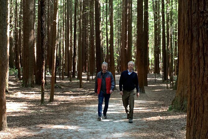 Redwood Forest , Blue Springs & Huka Falls Day Tour from Auckland - Final Thoughts