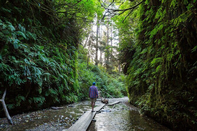 Redwood National Park Self-Guided Audio Tour - Who Is This Tour Best For?