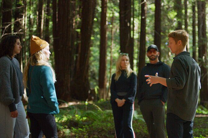 Redwoods Forest Bathing - Key Points