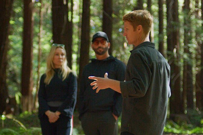 Redwoods Forest Bathing - The Scenery and Environment