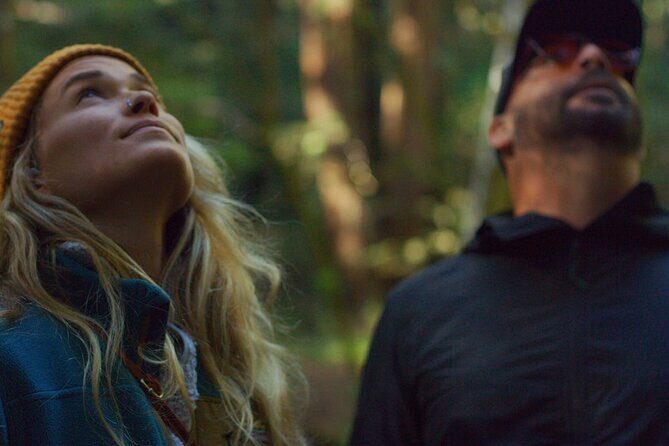 Redwoods Forest Bathing - The Experience Itself: What Youll Do